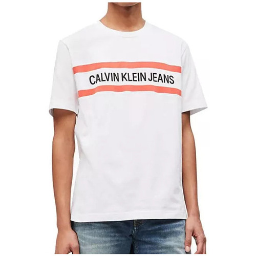 Vêtements Homme T-shirts manches courtes Calvin Klein Jeans CHEST STRIPE INSTIT Blanc
