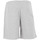 Vêtements Homme Shorts / Bermudas New-Era NBA STRIPE PIPING LOSLAK Gris