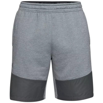 Vêtements Homme Shorts / Bermudas Under Armour Ankle MK1 TERRY Gris