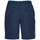 Vêtements Homme Shorts / Bermudas Under Armour QUALIFIER WG Perf Bleu