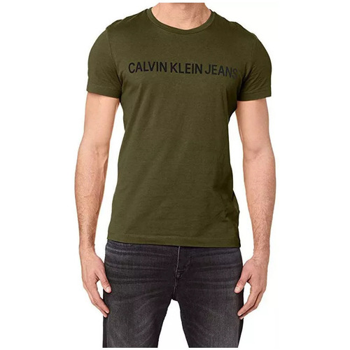 Vêtements Homme T-shirts manches courtes Calvin Klein Jeans INSTITUTIONAL LOGO Vert