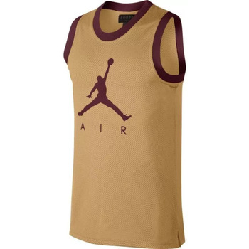 Vêtements Homme Débardeurs / T-shirts sans manche Nike 332550-016 JORDAN JUMPMAN AIR MESH Beige