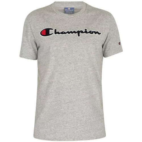 Vêtements Homme T-shirts & Polos Champion Tee-shirt Gris