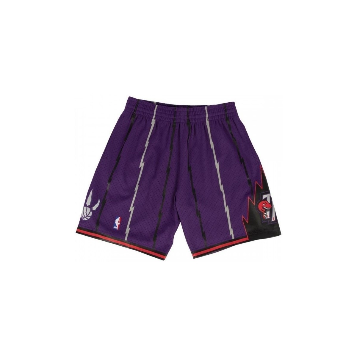 Vêtements Shorts / Bermudas Shorts In Velluto Con Logo Short NBA Toronto Raptors 1998 Multicolore