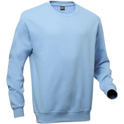 Vêtements Homme Sweats Pro Rtx RTX Bleu ciel