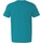Vêtements Homme T-shirts Mask manches courtes Gildan Soft-Style Bleu