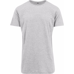 Vêtements Homme T-shirts manches courtes Polo Ralph Laure Shaped Gris