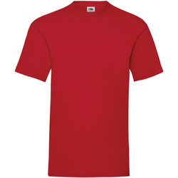 Vêtements Homme T-shirts wearing manches courtes Fruit Of The Loom 61036 Rouge foncé