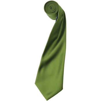 Vêtements Homme Cravates et accessoires Premier PR750 Vert