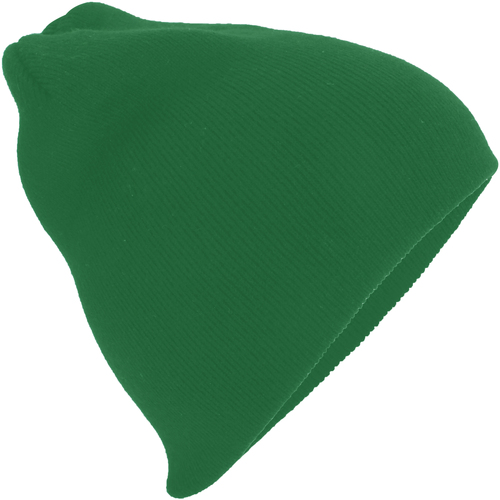 Accessoires textile Bonnets Beechfield Basic Vert