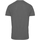 Vêtements Homme T-shirts manches courtes Tridri TR011 Gris