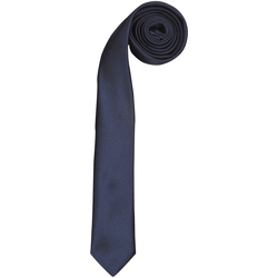 Vêtements Homme Cravates et accessoires Premier PR793 Bleu