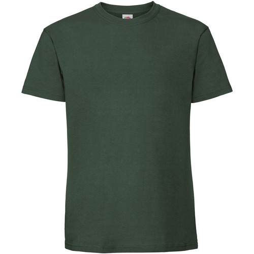 Vêtements Homme T-shirts mulher manches longues Fruit Of The Loom 61422 Vert