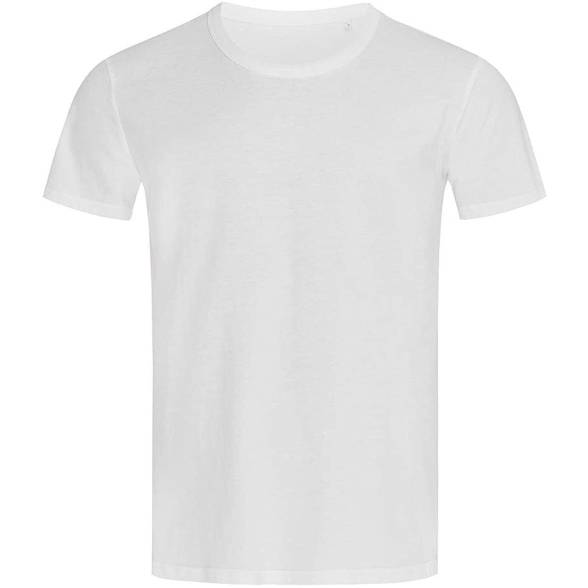 Vêtements Homme T-shirts manches longues Stedman Stars Ben Blanc