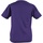 Vêtements Enfant T-shirts manches longues Awdis JC01J Violet