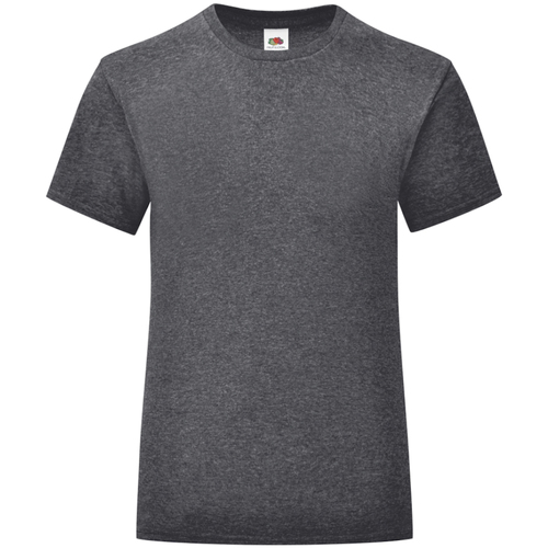 Vêtements Fille T-shirts manches longues Fruit Of The Loom Iconic Gris