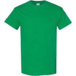 Vêtements Homme T-shirts manches courtes Gildan Heavy Vert gazon