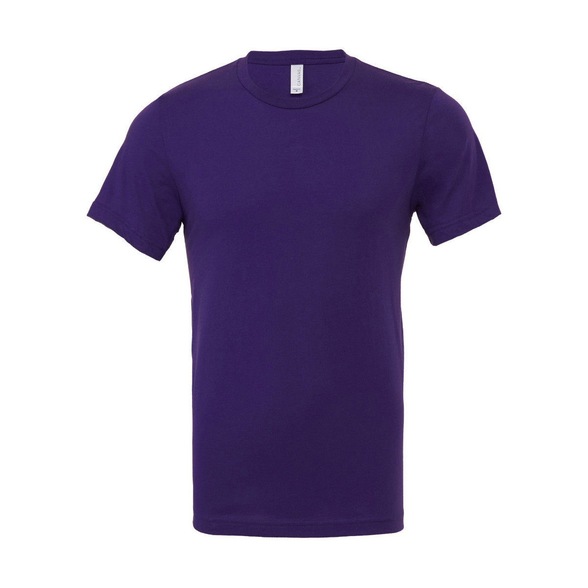 Vêtements Homme T-shirts manches courtes Bella + Canvas CA3001 Violet