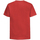 Vêtements Enfant T-shirts manches courtes Jerzees Schoolgear J155B Rouge