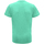 Vêtements Homme T-shirts manches courtes Tridri TR010 Vert