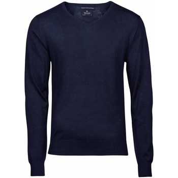 Vêtements Homme Sweats Tee Jays TJ6001 Bleu