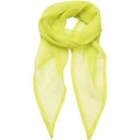 Accessoires textile Femme Echarpes / Etoles / Foulards Premier Formal Vert citron