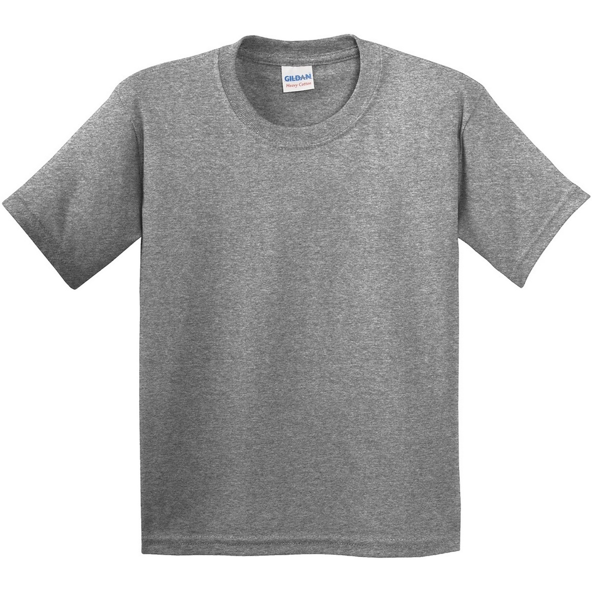 Vêtements Enfant T-shirts mit manches courtes Gildan 5000B Multicolore