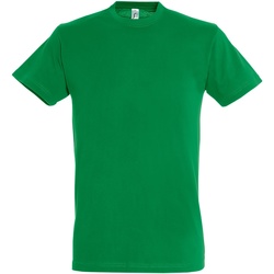 Vêtements Homme T-shirts manches courtes Sols 11380 Vert