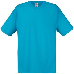Vêtements Homme T-shirts manches courtes Fruit Of The Loom 61082 Bleu azur