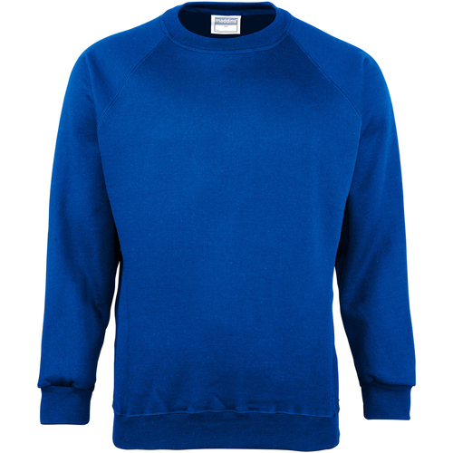 Vêtements Enfant Sweats Maddins RW6862 Bleu