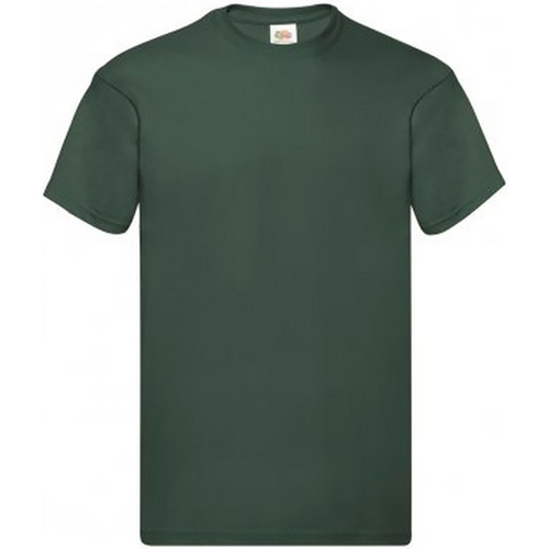 Vêtements Homme T-shirts manches courtes Fruit Of The Loom SS12 Vert