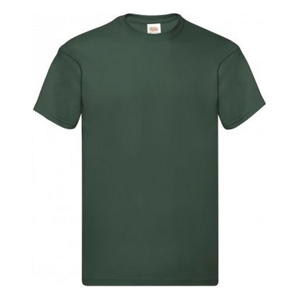 Vêtements Homme T-shirts manches courtes Fruit Of The Loom Original Vert