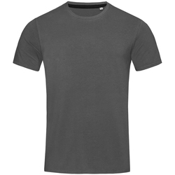 Vêtements Homme T-shirts manches courtes Stedman Stars  Gris ardoise