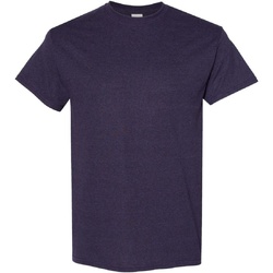 Vêtements Homme T-shirts manches courtes Gildan Heavy Violet foncé