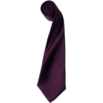Vêtements Homme Cravates et accessoires Premier Satin Multicolore