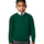 Vêtements Enfant Sweats Jerzees Schoolgear 272B Vert