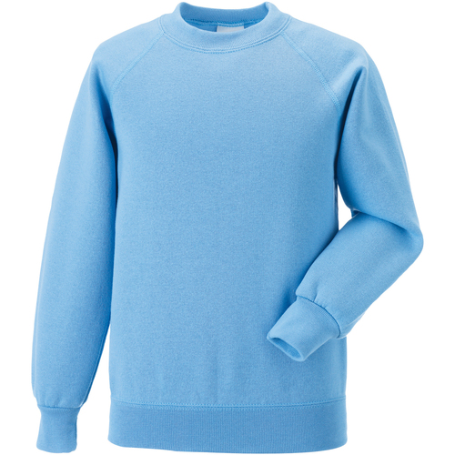 Vêtements Enfant Sweats Jerzees Schoolgear 7620B Bleu