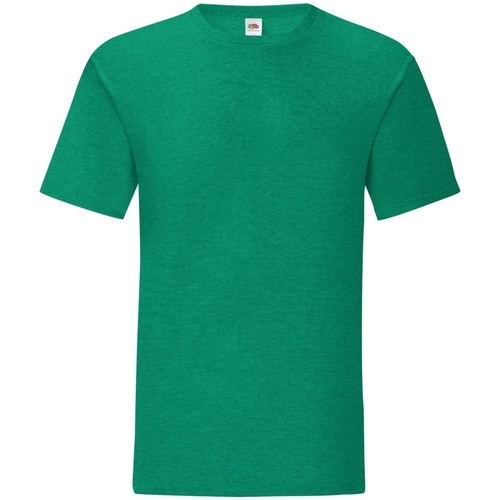 Vêtements Homme T-shirts manches longues Fruit Of The Loom 61430 Vert