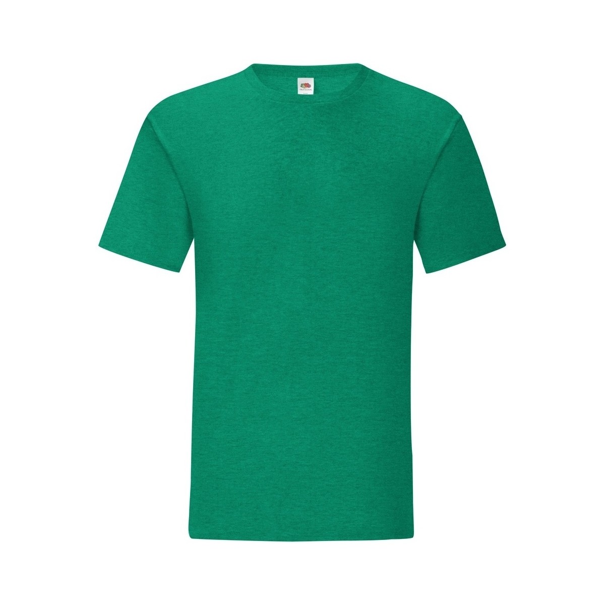 Vêtements Homme T-shirts Logo-Print manches longues Fruit Of The Loom Iconic 150 Vert