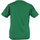 Vêtements Enfant T-shirts manches longues Awdis JC01J Vert