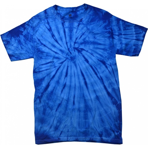 Colortone Tonal Bleu - Vêtements T-shirts manches longues Homme 22,65 €