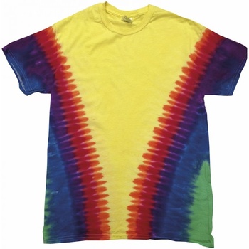 Vêtements Homme T-shirts manches courtes Colortone TD05M Multicolore
