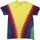 Vêtements T-shirts manches courtes Colortone TD05M Multicolore