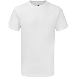 Vêtements Homme T-shirts manches courtes Gildan H000 Blanc