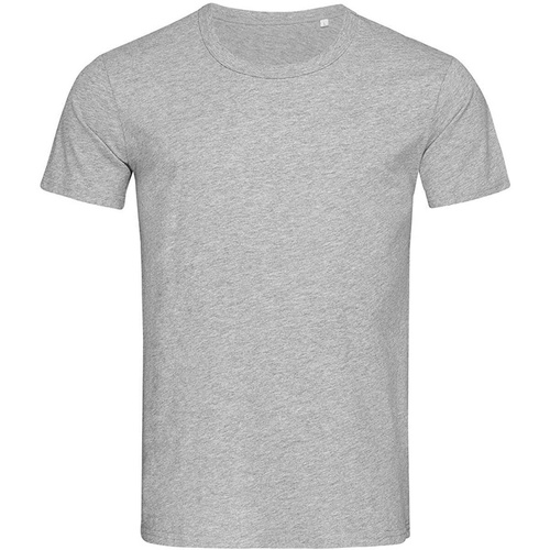 Vêtements Homme T-shirts manches longues Stedman Stars Ben Gris