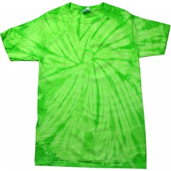 Vêtements Enfant T-shirts manches courtes Colortone Spider Vert citron