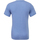 Vêtements Homme T-shirts manches courtes Bella + Canvas CA3413 Bleu