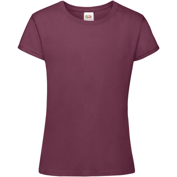 Vêtements Fille T-shirts manches courtes Fruit Of The Loom 61017 Bordeaux
