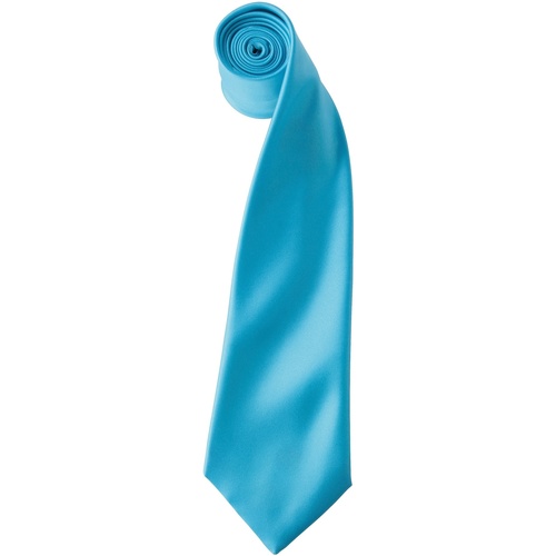 Vêtements Homme Cravates et accessoires Premier PR750 Turquoise