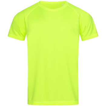 Vêtements Homme T-shirts manches courtes Stedman  Multicolore